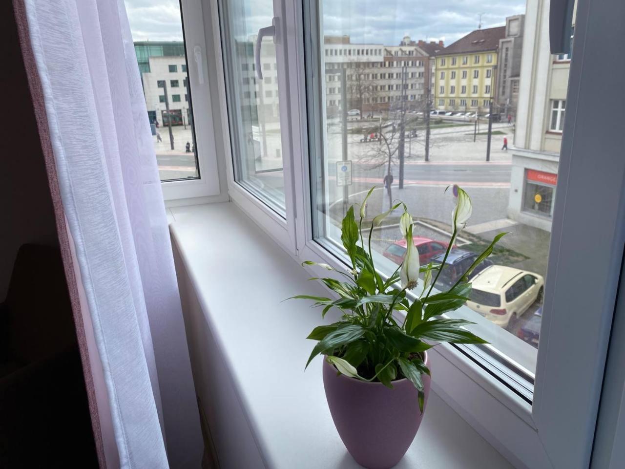 Perla Hradce 302 Apartment Hradec Králové Exterior foto